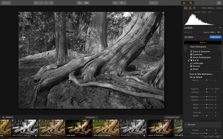 Luminar: The Ultimate Powerhouse for Stunning Fine Art Black & White Conversions