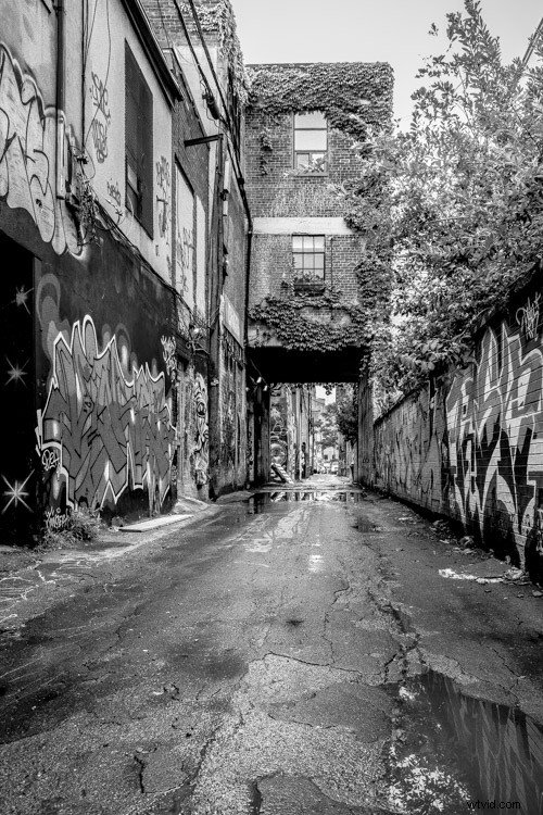 Luminar: The Ultimate Powerhouse for Stunning Fine Art Black & White Conversions