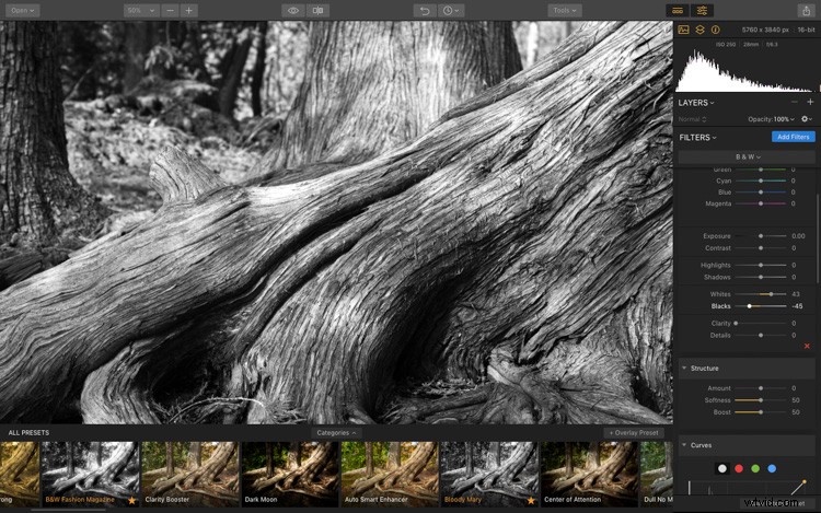 Luminar: The Ultimate Powerhouse for Stunning Fine Art Black & White Conversions