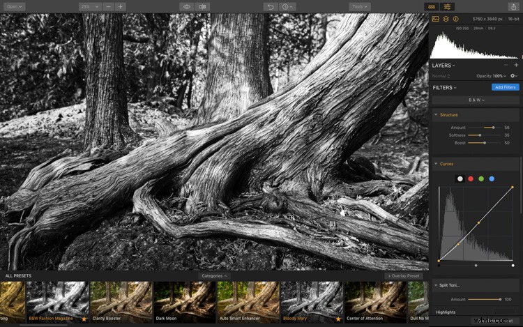 Luminar: The Ultimate Powerhouse for Stunning Fine Art Black & White Conversions
