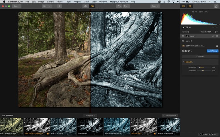 Luminar: The Ultimate Powerhouse for Stunning Fine Art Black & White Conversions