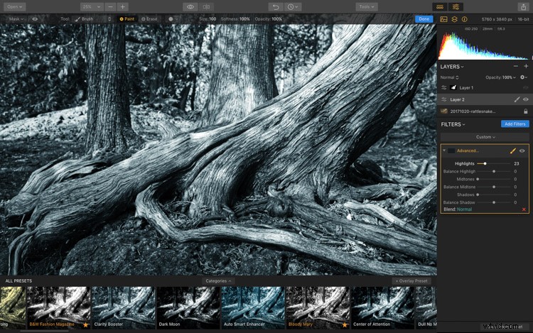 Luminar: The Ultimate Powerhouse for Stunning Fine Art Black & White Conversions