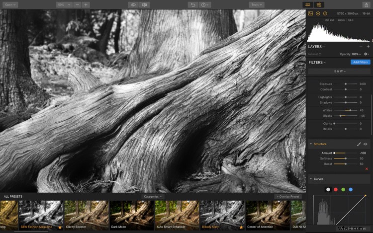 Luminar: The Ultimate Powerhouse for Stunning Fine Art Black & White Conversions