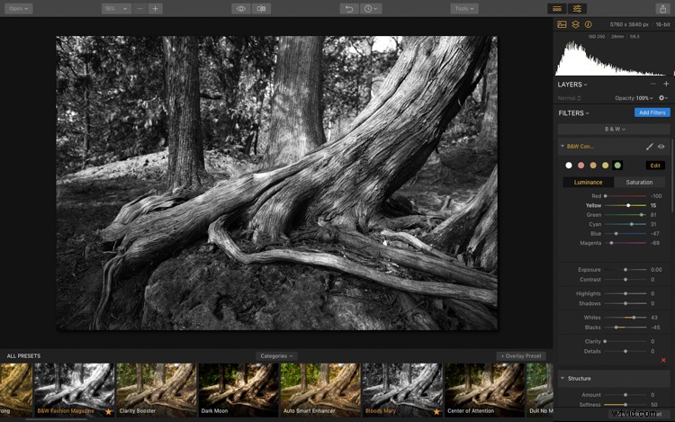 Luminar: The Ultimate Powerhouse for Stunning Fine Art Black & White Conversions