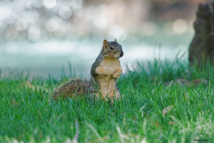 Master Filter Masks in Luminar: Unlock Powerful Local Photo Adjustments