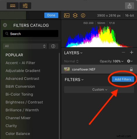 Master Filter Masks in Luminar: Unlock Powerful Local Photo Adjustments
