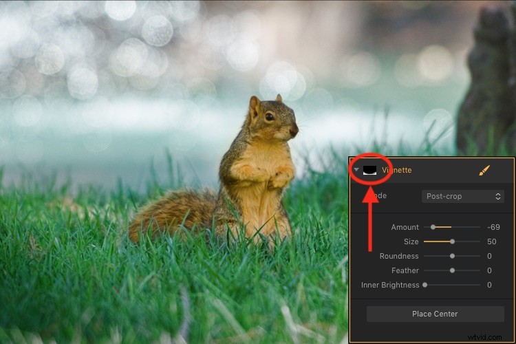 Master Filter Masks in Luminar: Unlock Powerful Local Photo Adjustments