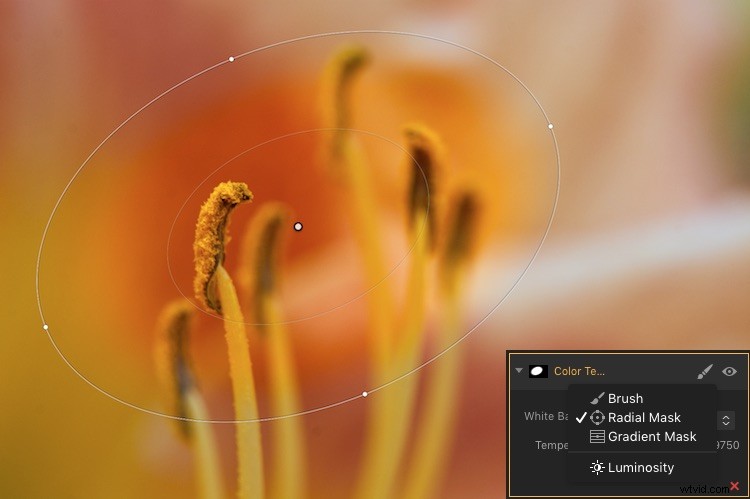 Master Filter Masks in Luminar: Unlock Powerful Local Photo Adjustments
