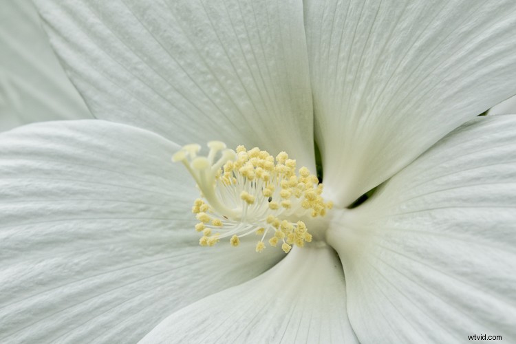 Luminar by Macphun: Beginner s Guide to Effortless Photo Editing