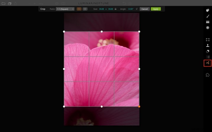 Luminar by Macphun: Beginner s Guide to Effortless Photo Editing