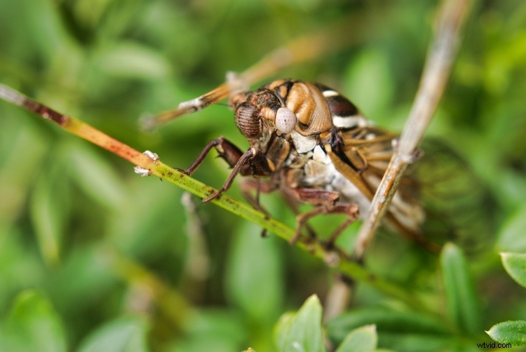 Accelerate Your Photo Editing Workflow: Luminar Accent AI Filter & Batch Processing