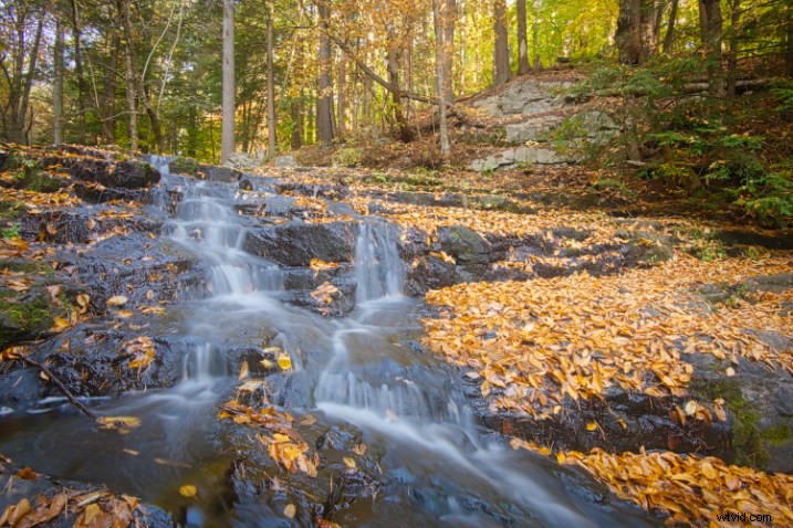 Macphun Luminar Review: In-Depth Overview and Honest First Impressions