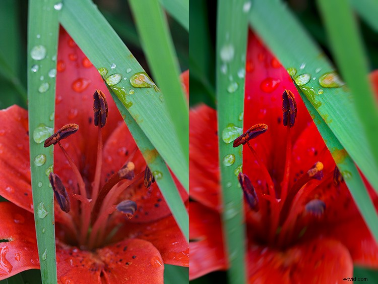 Macphun Creative Kit 2016 Review: Elevate Your Photography with Pro Editing Tools