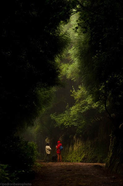 Macphun Announces Winners of Get Outside and Shoot! Photo Contest – Olympus E-M10 Grand Prize