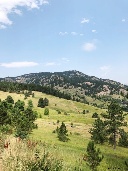 10 Expert Tips for Stunning Smartphone Photography