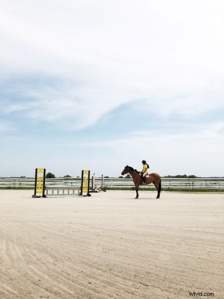 10 Expert Tips for Stunning Smartphone Photography