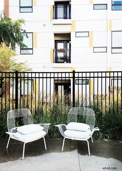 10 Expert Tips for Stunning Smartphone Photography