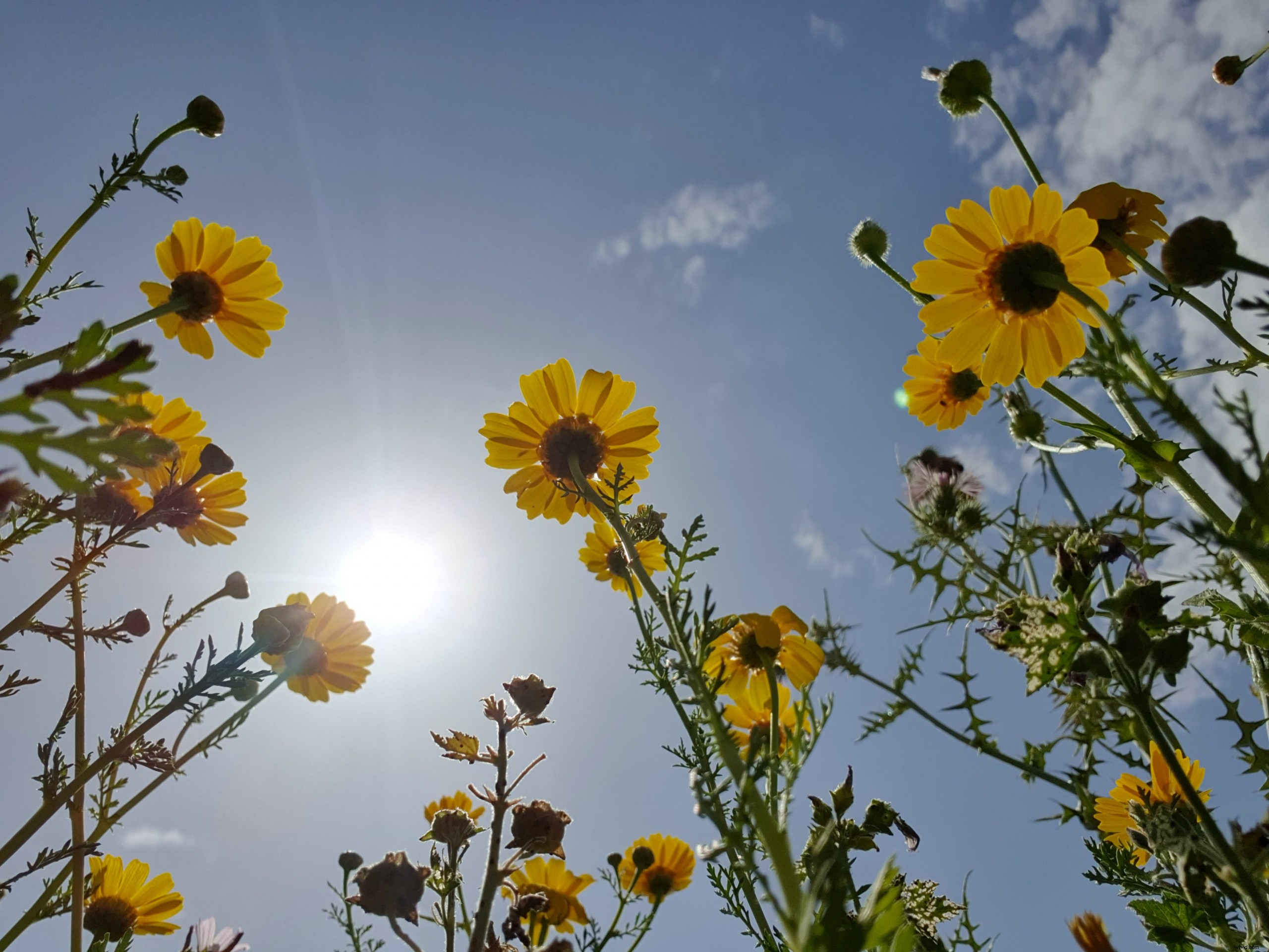 12 Creative Smartphone Photography Ideas for Unforgettable Outings