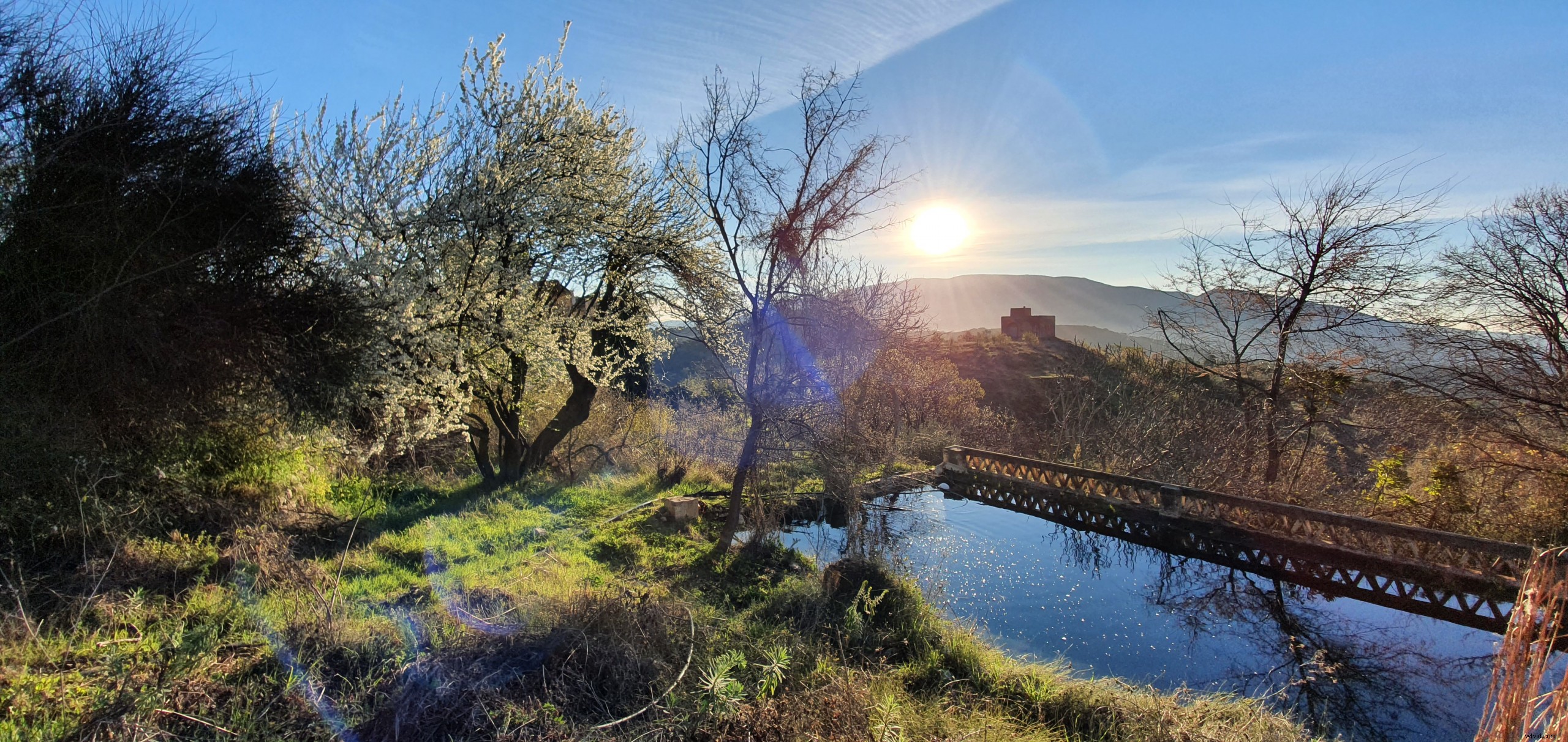 12 Creative Smartphone Photography Ideas for Unforgettable Outings