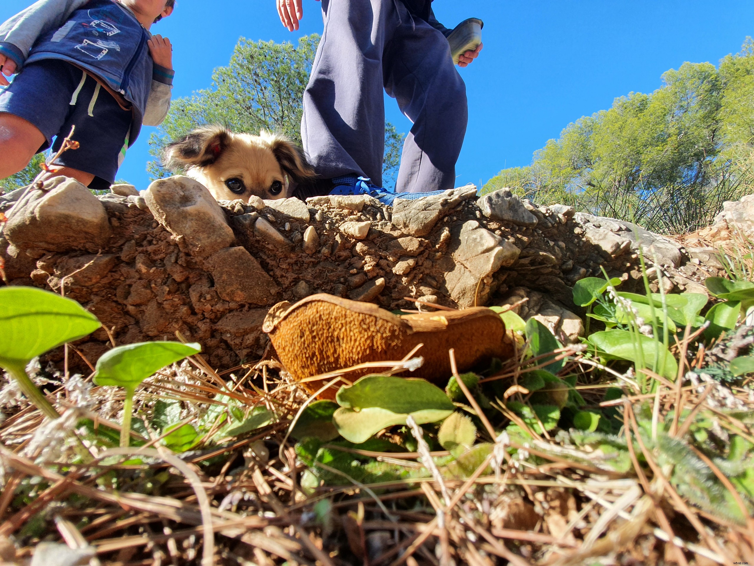 12 Creative Smartphone Photography Ideas for Unforgettable Outings