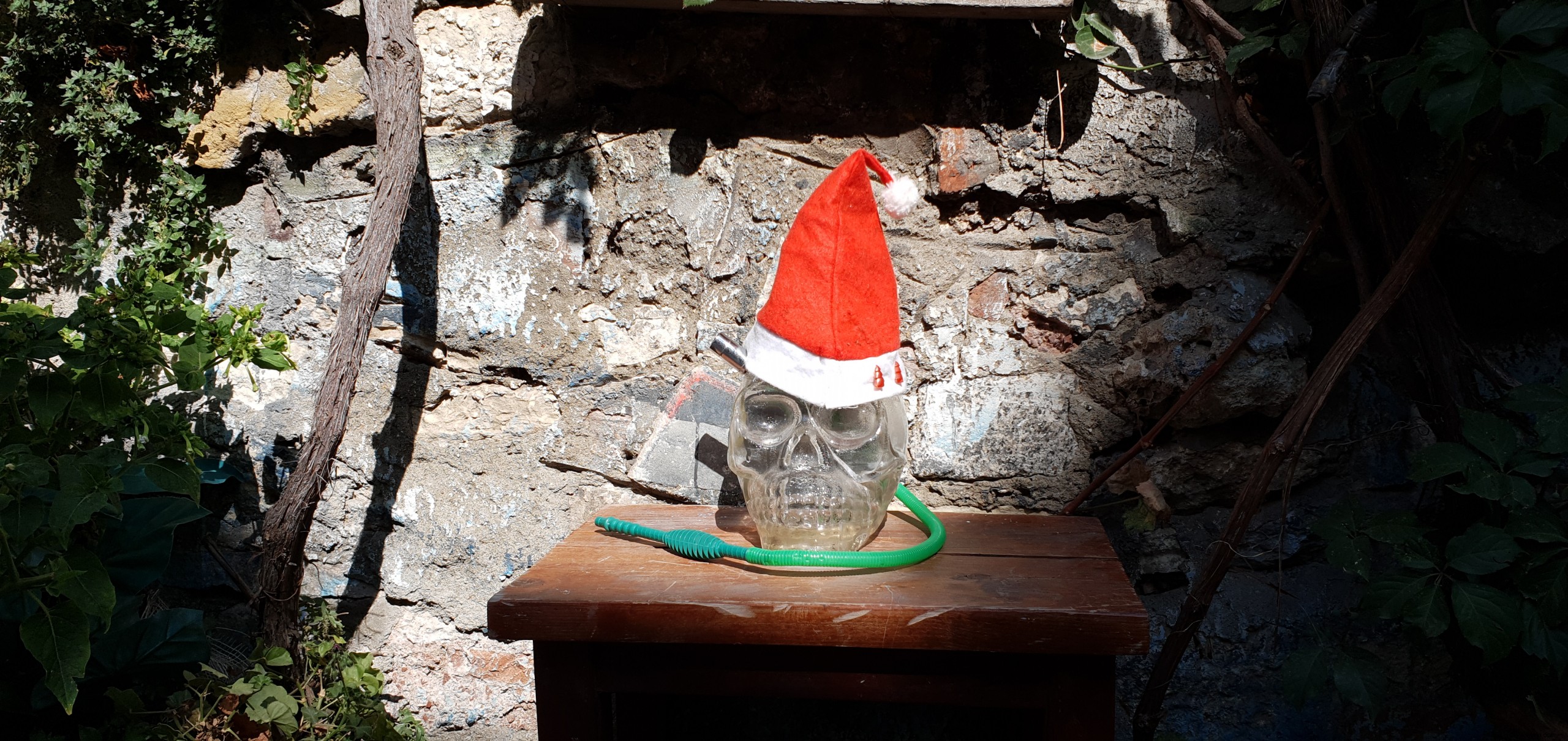 12 Creative Smartphone Photography Ideas for Unforgettable Outings