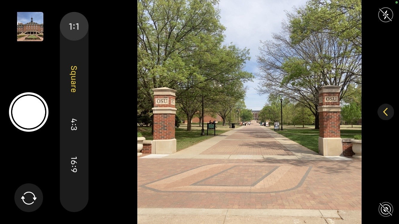 13 Essential iPhone Camera Settings to Elevate Your Photography