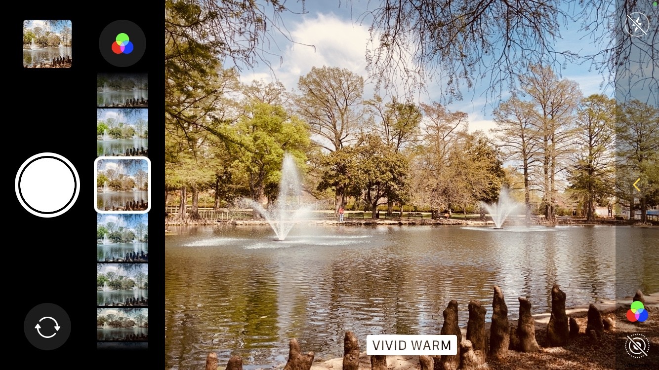 13 Essential iPhone Camera Settings to Elevate Your Photography