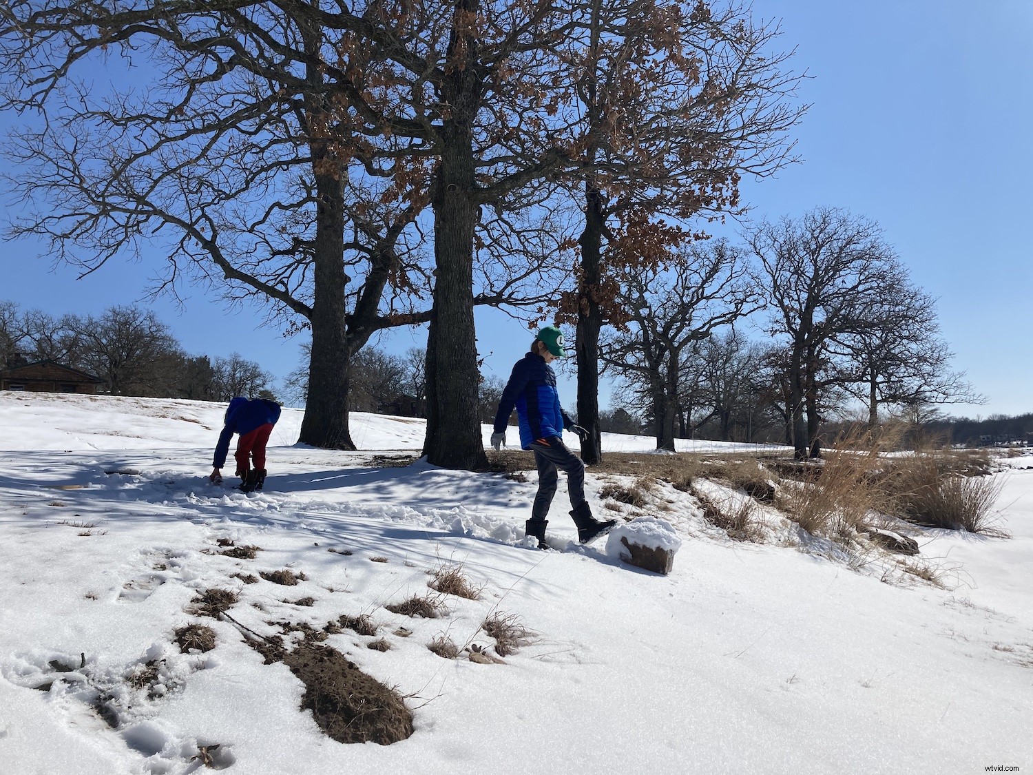 Ultimate Guide to iPhone Live Photos: Capture, Edit & Share