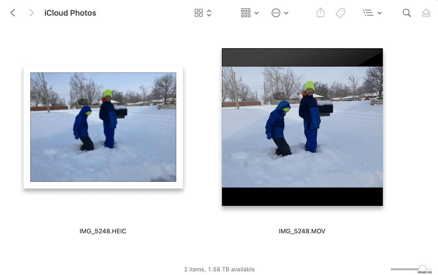 Ultimate Guide to iPhone Live Photos: Capture, Edit & Share