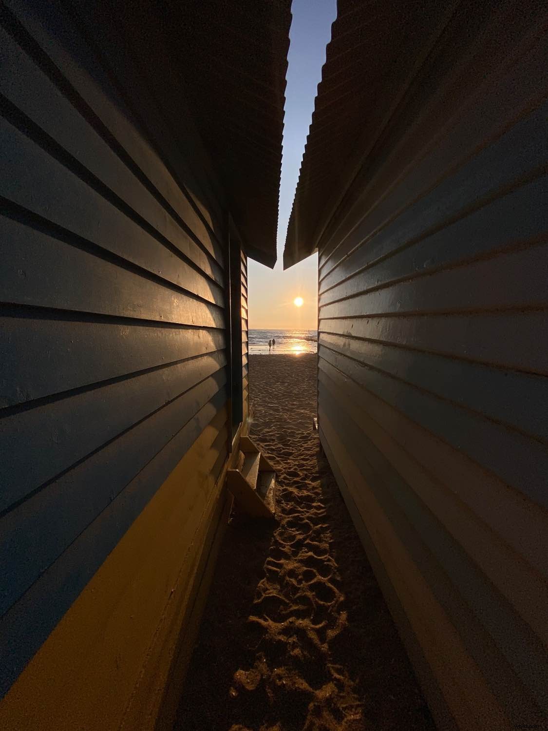 Struman Optics Cinematic Lenses Review: Elevate Your Smartphone Photography