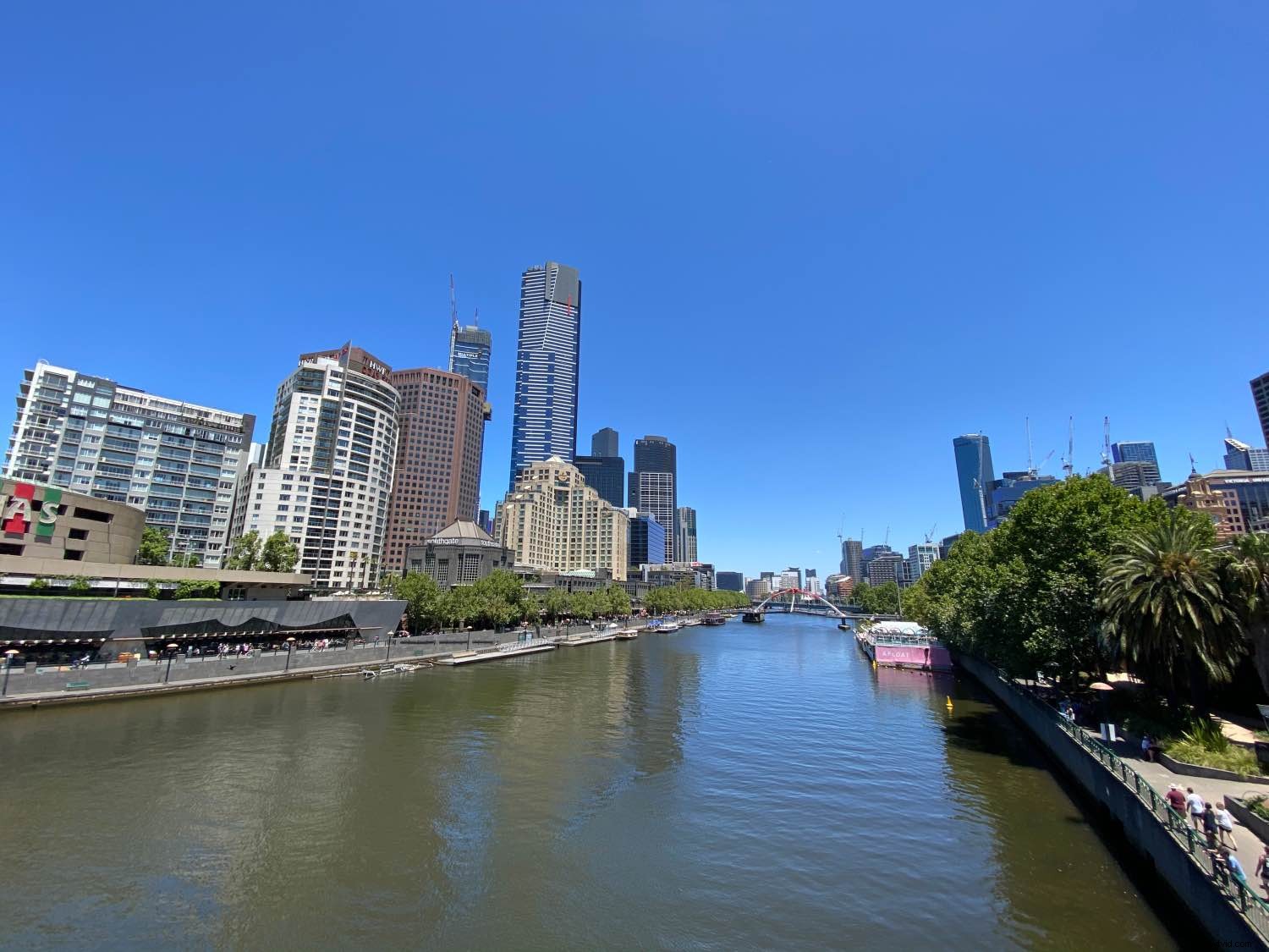 Struman Optics Cinematic Lenses Review: Elevate Your Smartphone Photography