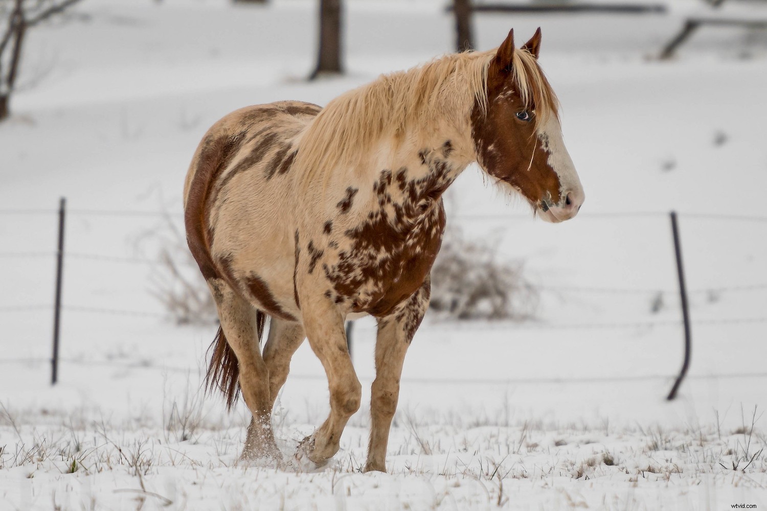 6 Compelling Reasons Dedicated Cameras Outperform Smartphones in Photography