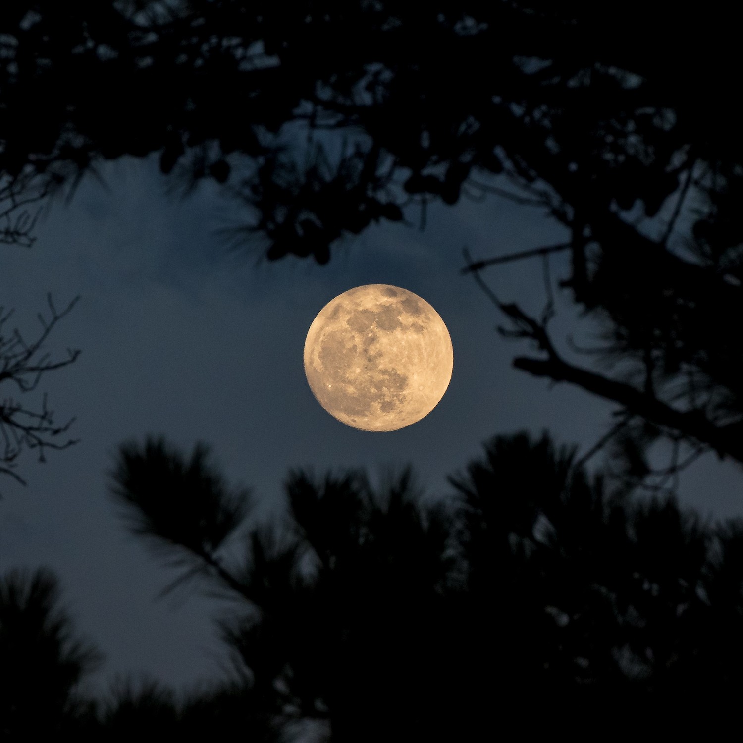 6 Compelling Reasons Dedicated Cameras Outperform Smartphones in Photography