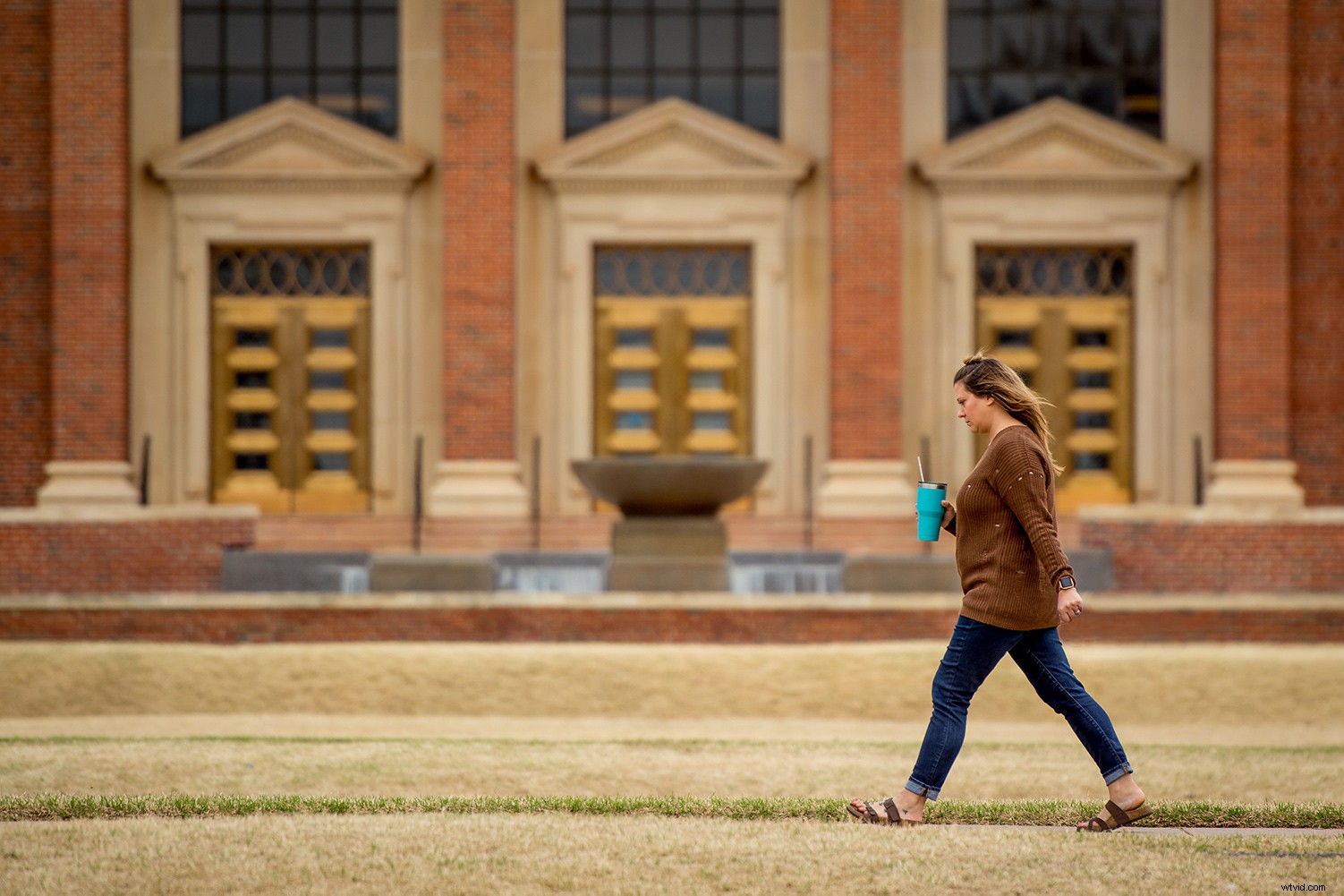 6 Compelling Reasons Dedicated Cameras Outperform Smartphones in Photography