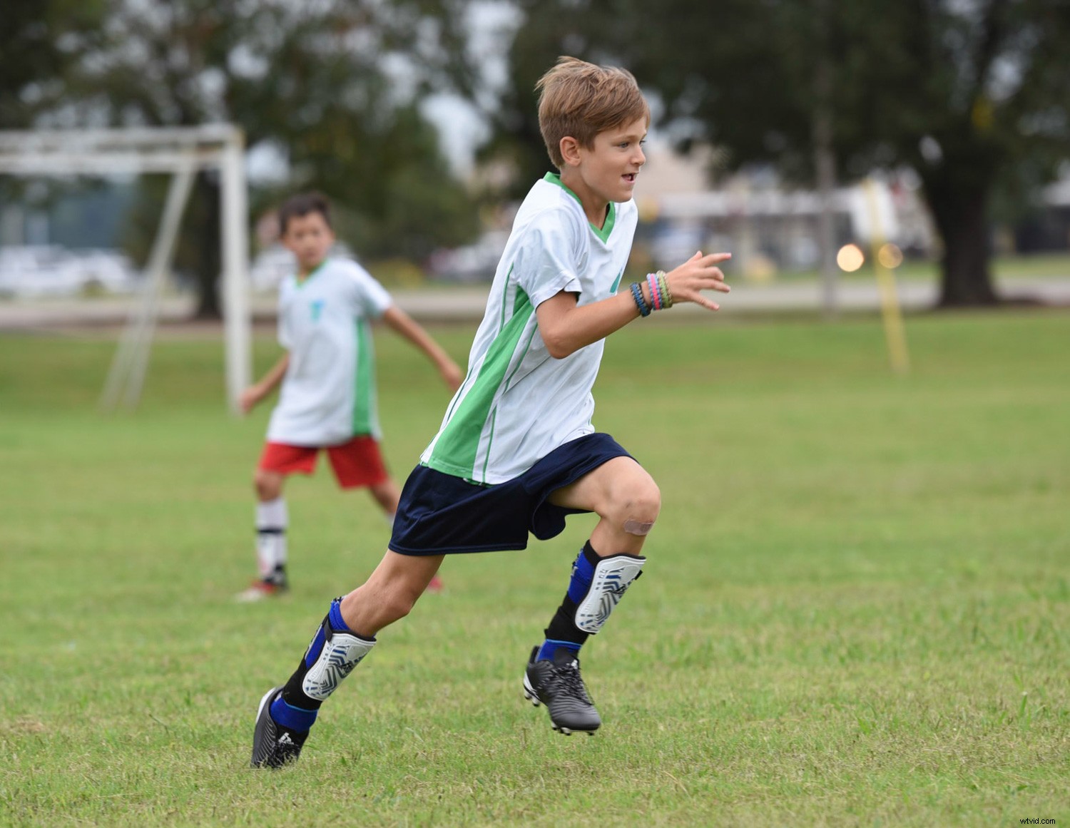 6 Compelling Reasons Dedicated Cameras Outperform Smartphones in Photography