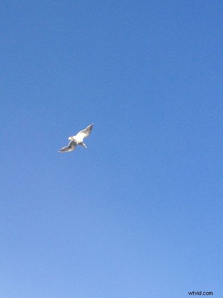 iPhone 4S Camera Strengths: Ideal Subjects for Impressive Shots