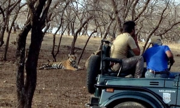 iPhone 4S Camera Strengths: Ideal Subjects for Impressive Shots