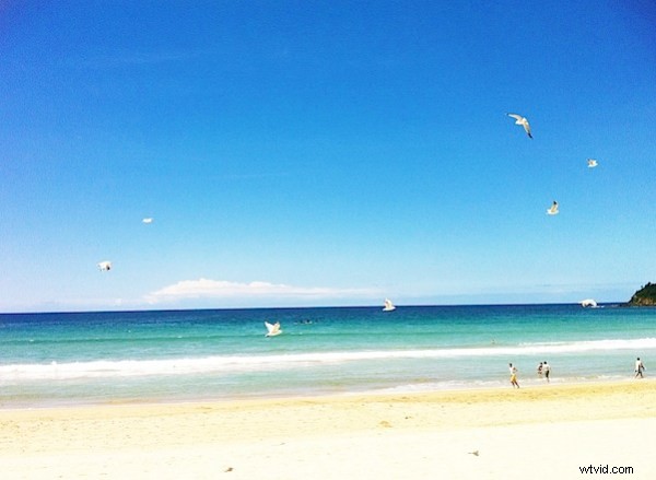 10 Essential iPhone Photography Tips for Stunning Shots