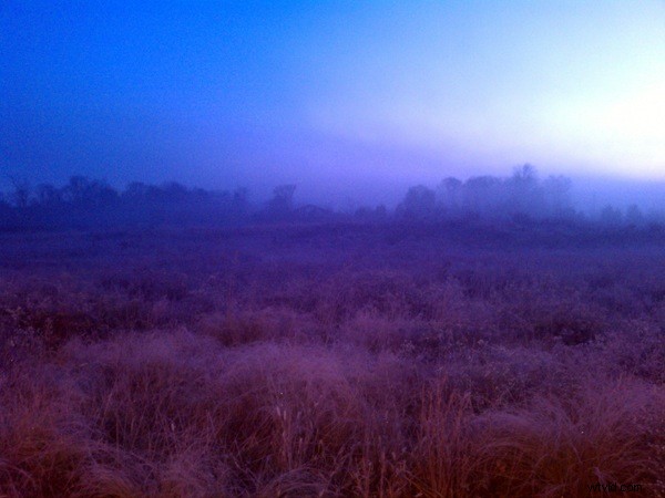 Unlock Photography Lessons from Your Smartphone Camera