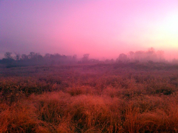 Unlock Photography Lessons from Your Smartphone Camera