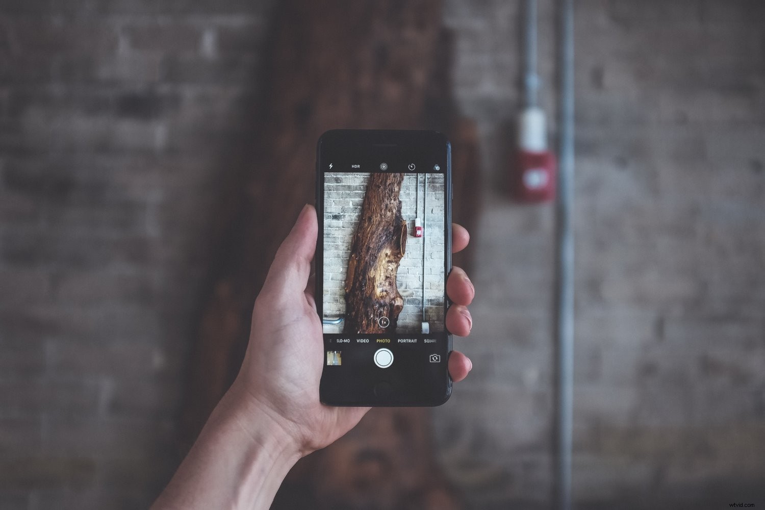 12 Expert Tips to Elevate Your Smartphone Photography