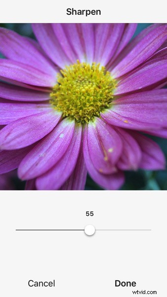 Capture Stunning Macro Photos with Your Smartphone: Pro Tips & Tricks
