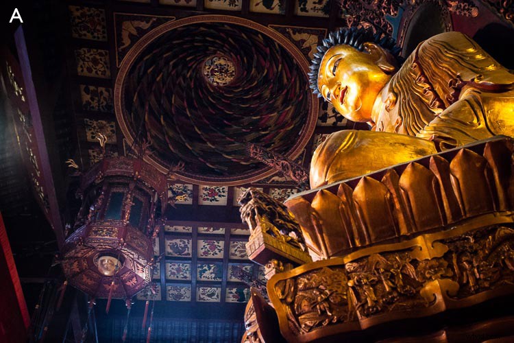 SLR vs Mirrorless vs Smartphone: Does Camera Type Really Matter?