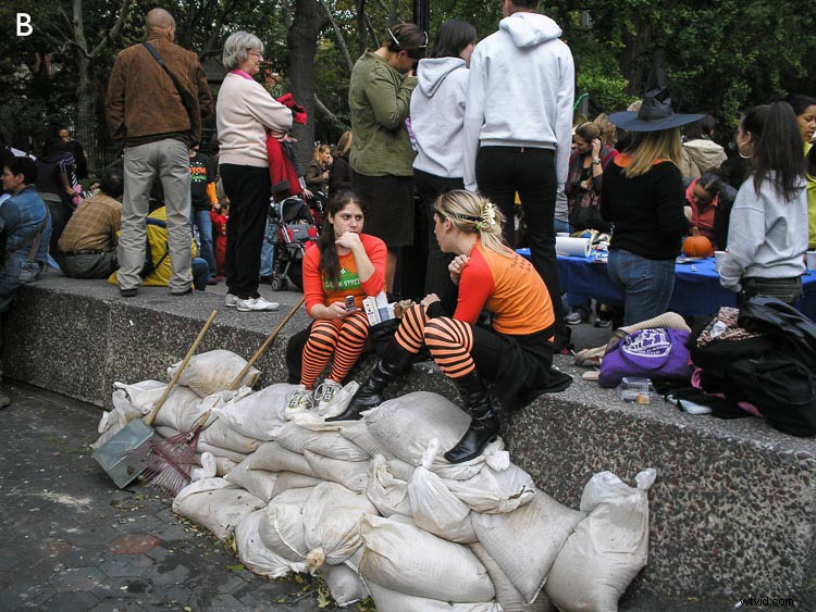 SLR vs Mirrorless vs Smartphone: Does Camera Type Really Matter?