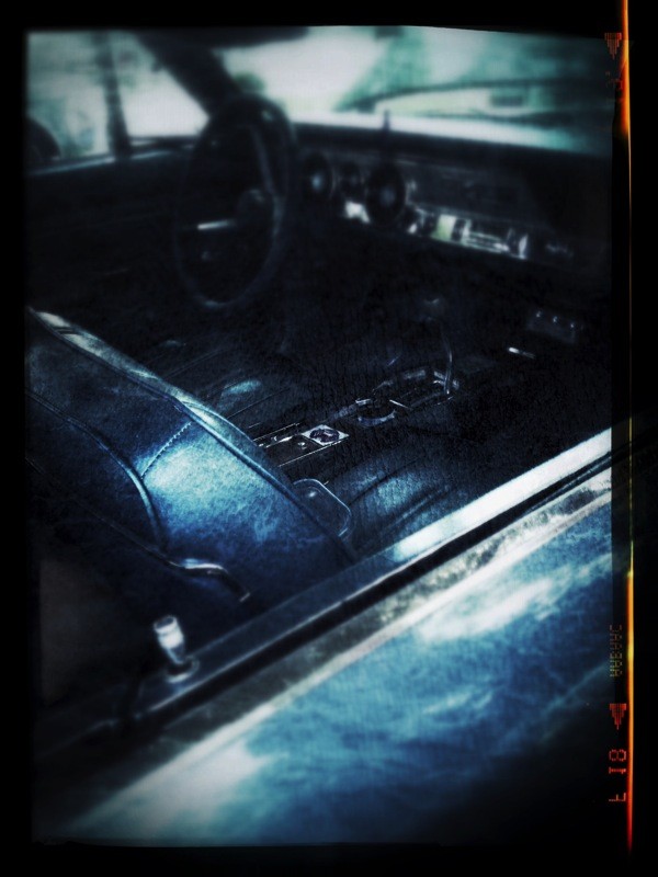 How iPhones and Instagram Can Elevate Your Photography Business