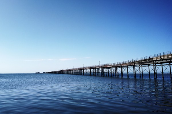 The Best Camera is the One You Have: Pro Mobile Photography Tips