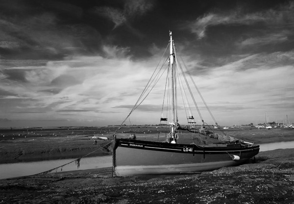 The Best Camera is the One You Have: Pro Mobile Photography Tips