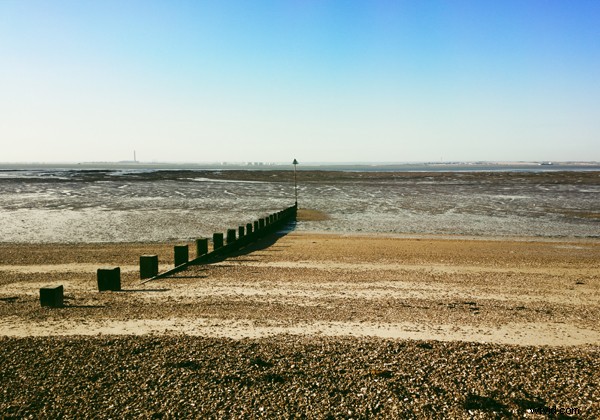 The Best Camera is the One You Have: Pro Mobile Photography Tips