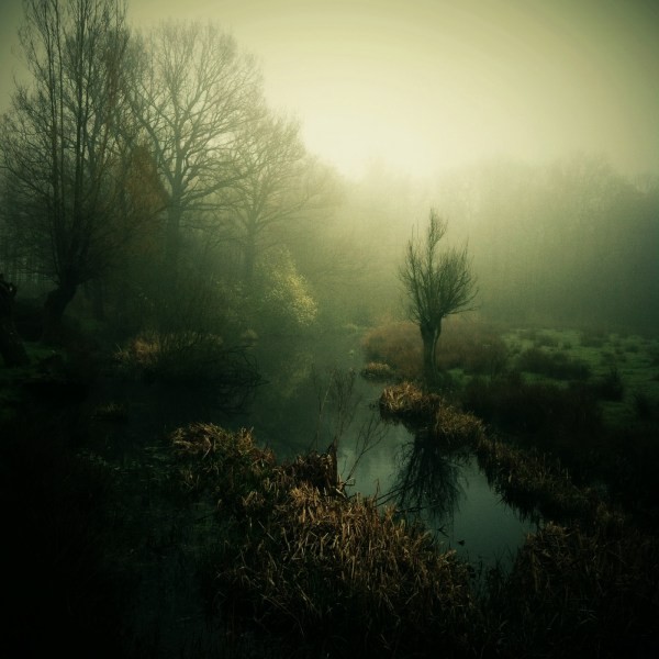 Top 10 iPhone Photographers: Masters by Style and Genre