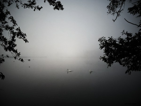 Top 10 iPhone Photographers: Masters by Style and Genre